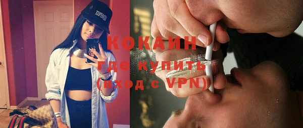 мдпв Богородицк