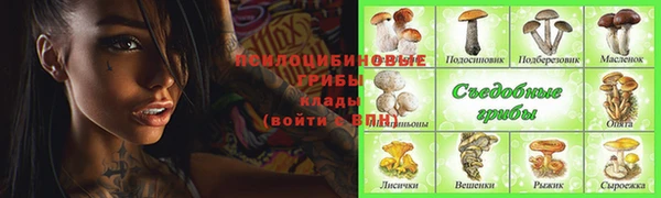 гидра Очёр