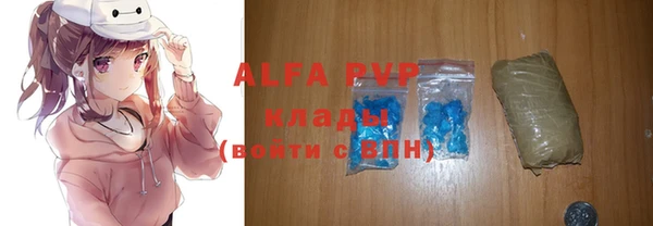 мдпв Богородицк
