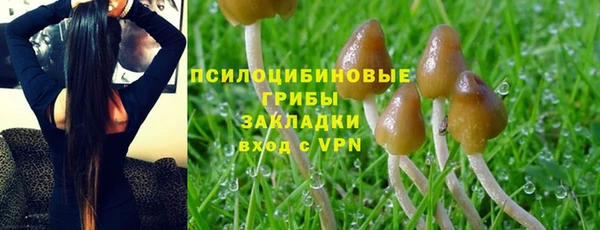 мдпв Богородицк