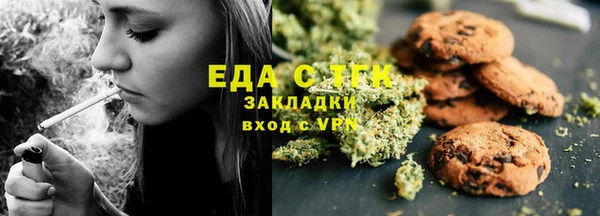 мдпв Богородицк