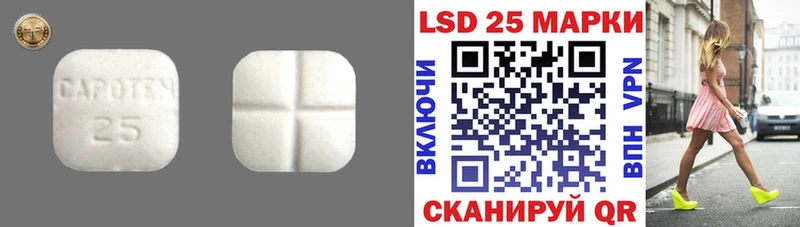 Лсд 25 экстази ecstasy  купить наркотики цена  Светлогорск 